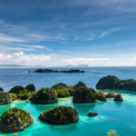 Mengapa Anda harus mempertimbangkan untuk traveling ke Raja Ampat tahun ini? Temukan keindahan alam yang memukau, destinasi wisata ramah lingkungan, pengalaman budaya tak terlupakan, dan aktivitas seru yang bisa dilakukan di Raja Ampat. Dapatkan tips perjalanan praktis dan pentingnya menjaga kelestarian Raja Ampat untuk masa depan.